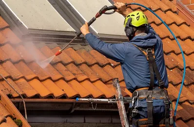 Démoussage et hydrofuge de toiture à Chamelet